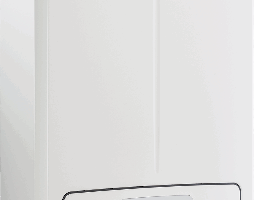 Sostituzione Caldaia a Pisa con Immergas Tera 24